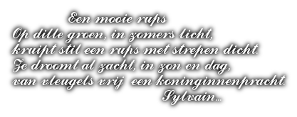 cooltext500594724938322