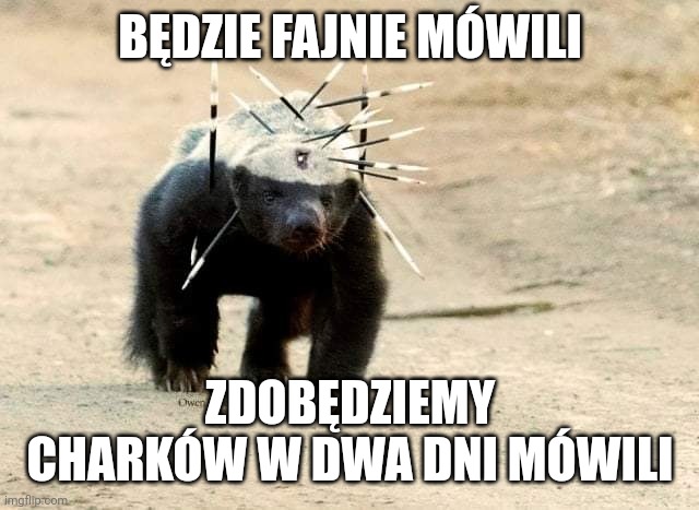 Obrazek