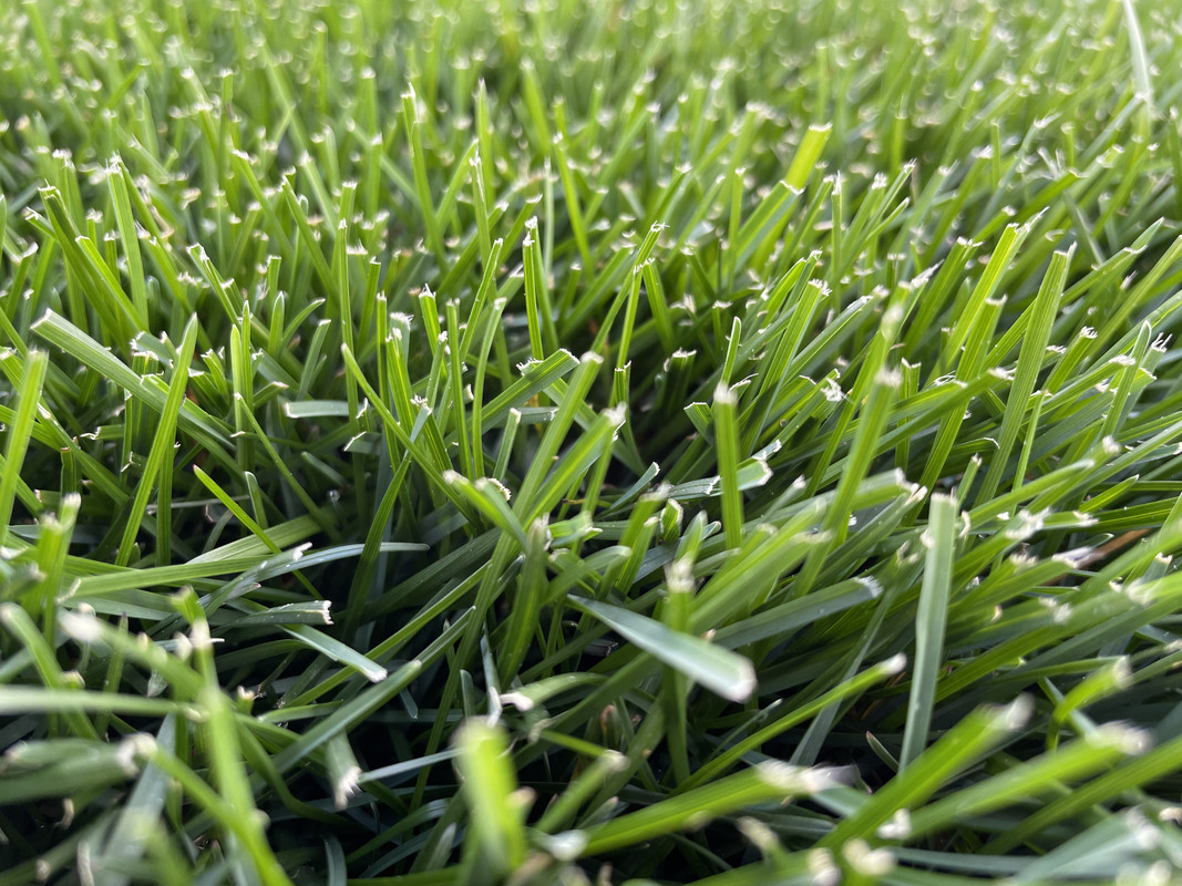 2A054B7A-ACEC-4093-AD28-7D54E658550E