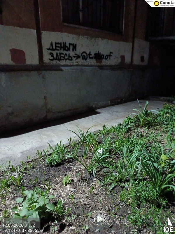 photo 2026 05 12 10 41 22