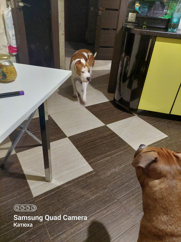 567D8F33-ED28-4B3C-AE29-7C311637AE01