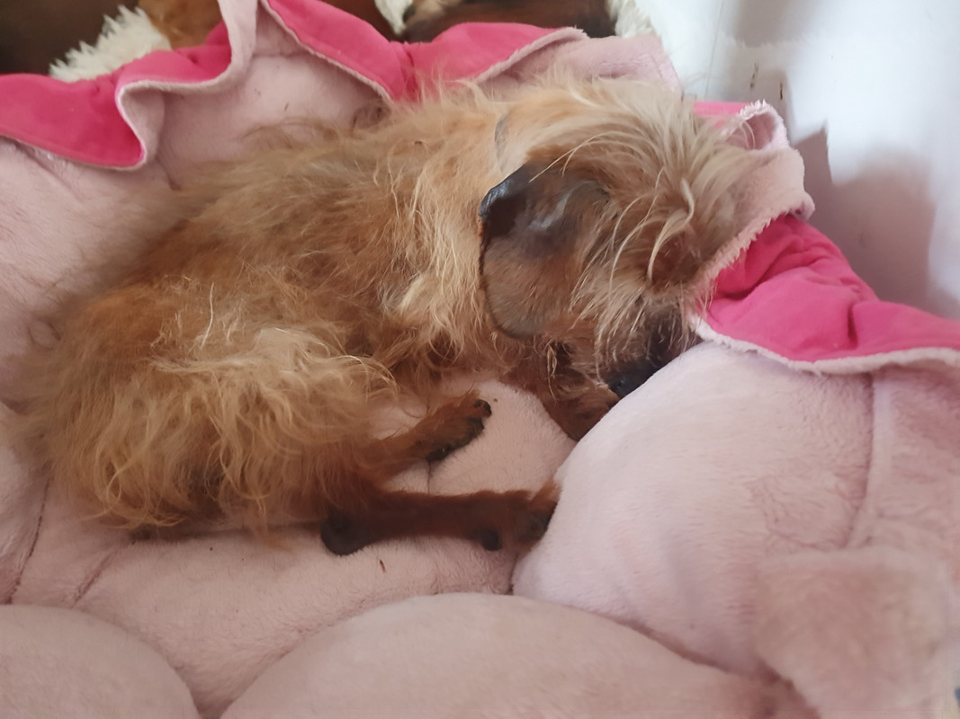 [Image: 20220728-130333.jpg]