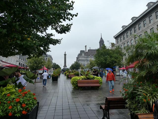 Montréal - DOS SEMANAS EN EL ESTE DE CANADÁ (ONTARIO Y QUÉBEC) (22)