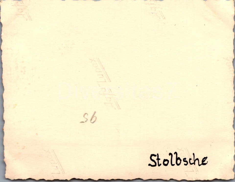 Foto a Nachl. Uffz H Gollner Panzer-Regt. 4, deutsche Panzer bei Borissow D-82 (1)