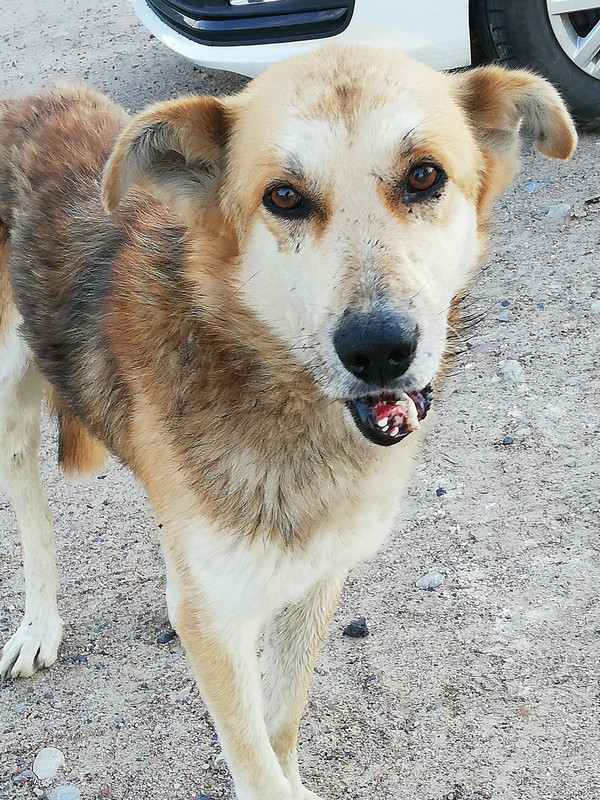 81193512-071C-4DC8-98BB-2F1A927E398E