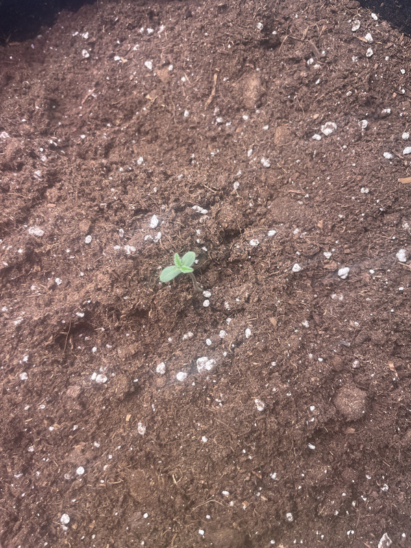 AFF19E3D-266E-4724-80F5-1CD6D7CBE07A