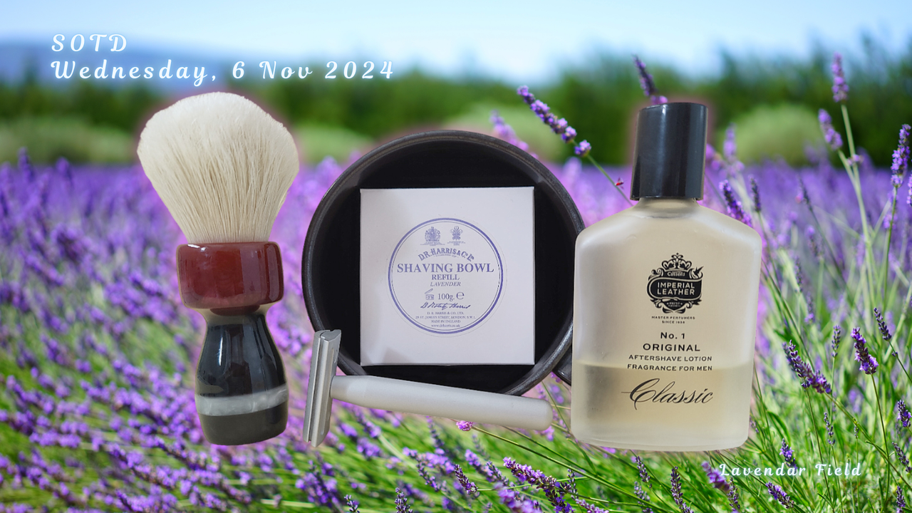 SOTD-20241106-setup.png