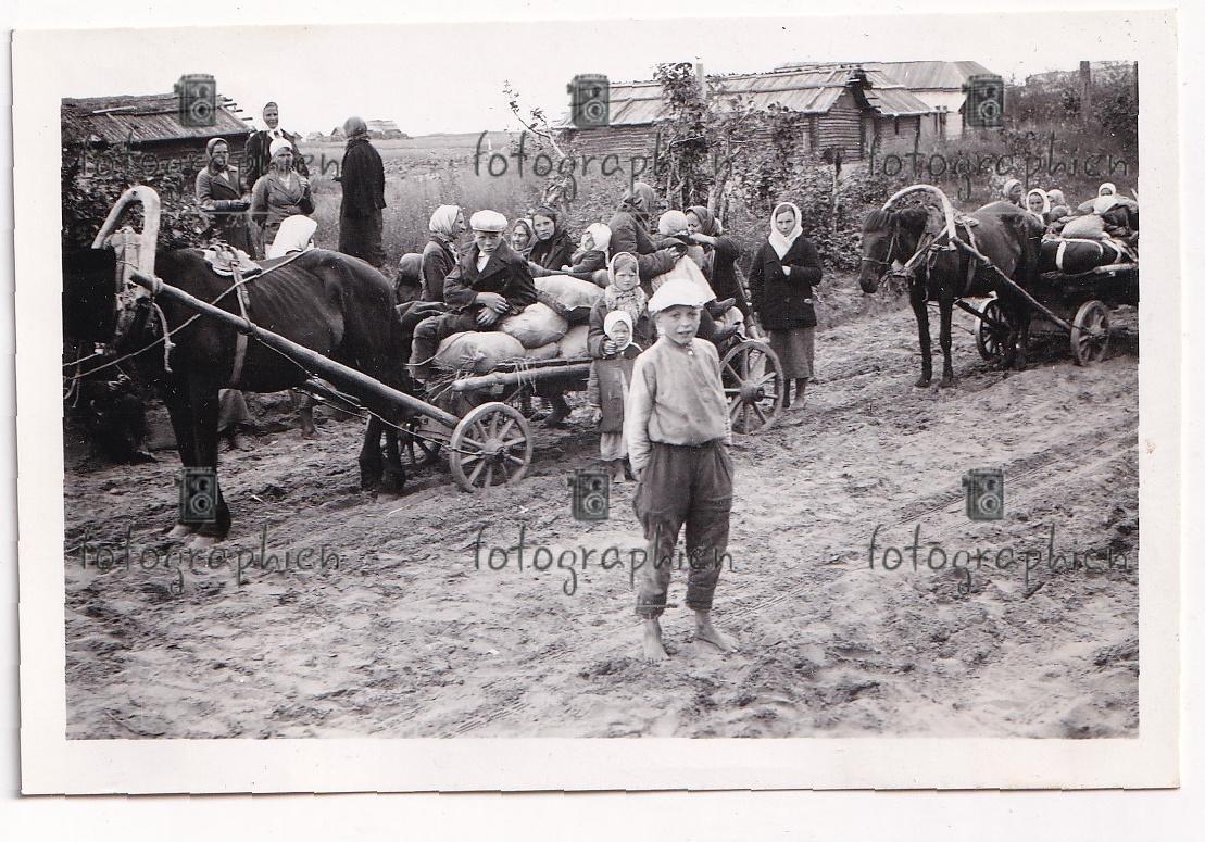 org. Foto Russland Gredyaki bei Welisch Bevölkerung Flüchtlinge Kinder 1942