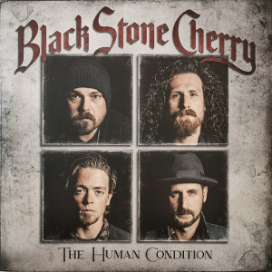 Re: Black Stone Cherry