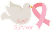 resized-survivor-dove