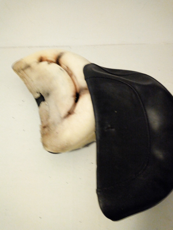 IMG_20190211_115509162