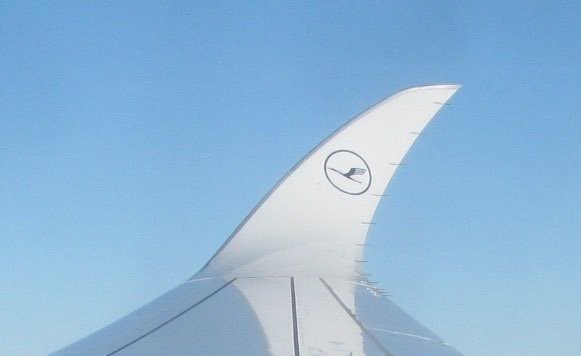 IMG-2245.jpg