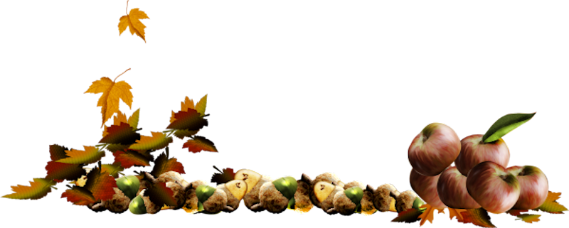 IPD_AH_Element (142)