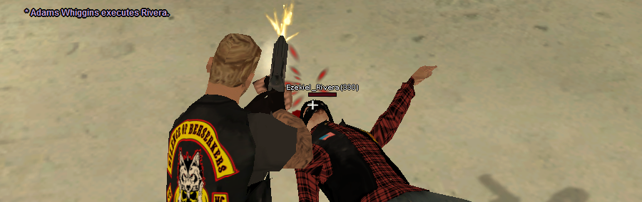 SS71.png