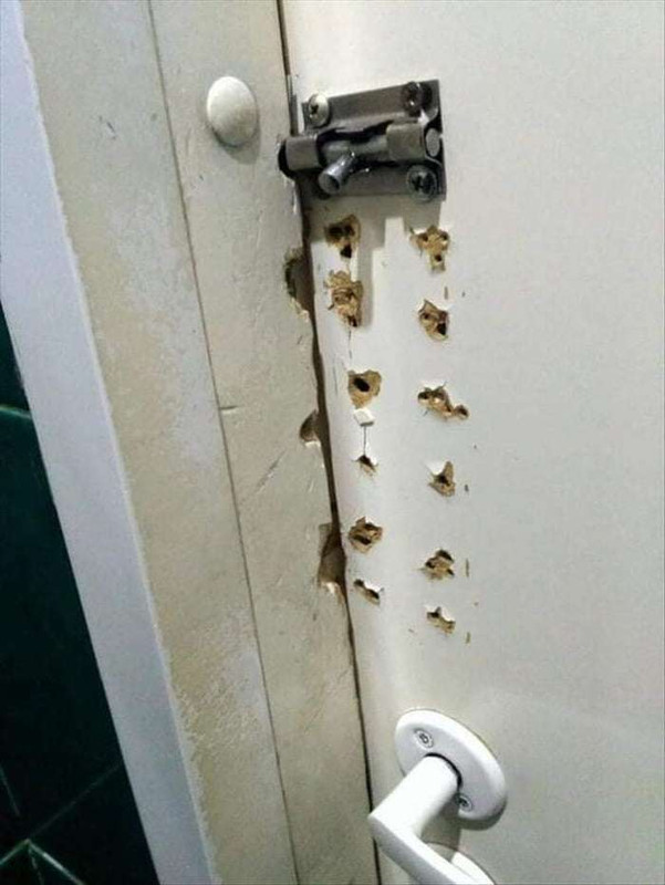 Picdump-094-20.jpg