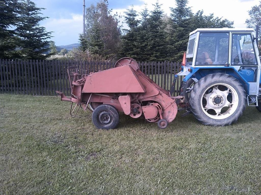 1513792_257046694479762_3816442449328807685_n