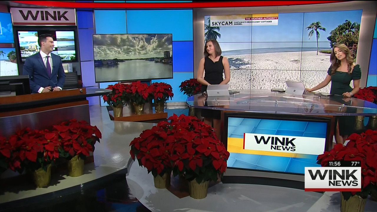 11.22 - 16.30.00 - WINK News @ 11 30AM..ts_snapshot_33.01.517