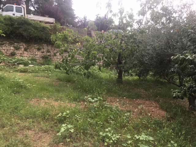 58446C80-4025-48DB-8C5F-2CC1854BF5EF