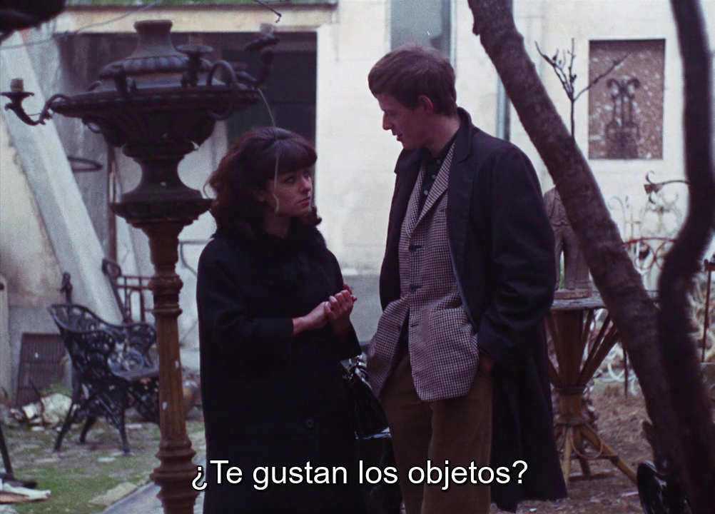 vlcsnap-2025-01-12-19h31m14s184