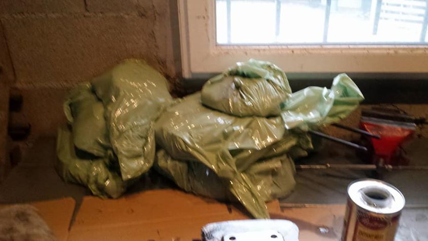 photo_889002364597253