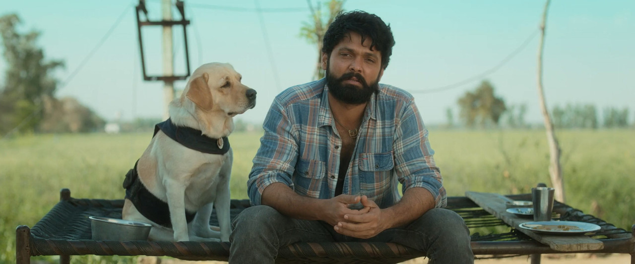 777 Charlie 2022 WebRip [Hindi + Tamil + Telugu + Malayalam + Kannada] 480p 720p 1080p ESub Screenshot