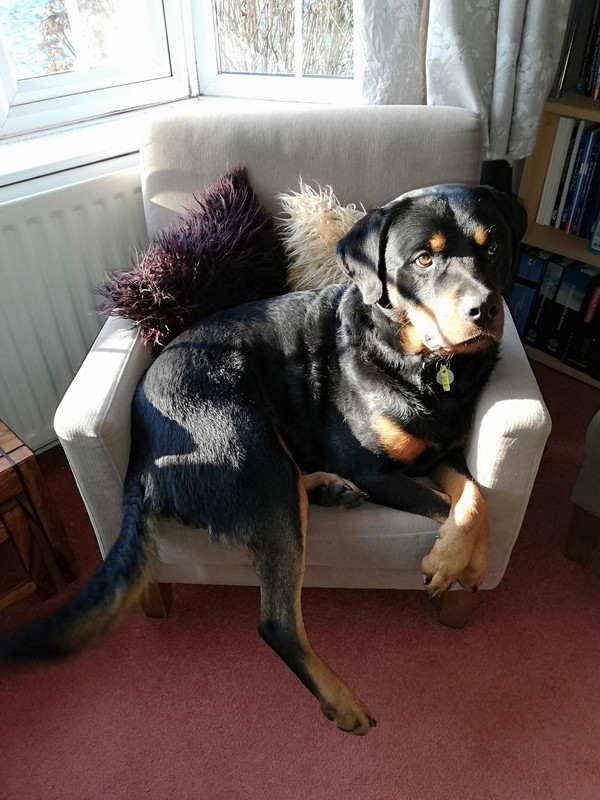 51345921_10158242127237729_6244111793812144128_n