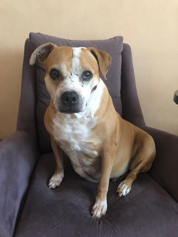 4287C98B-8F15-4D6D-90ED-BAE42C773474