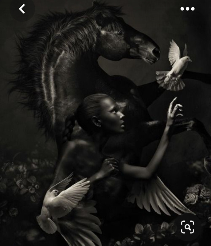 Screenshot_20230530_001152_Pinterest