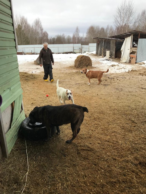 1346C5C4-E4FA-4282-A8E6-2EEB78966CD1