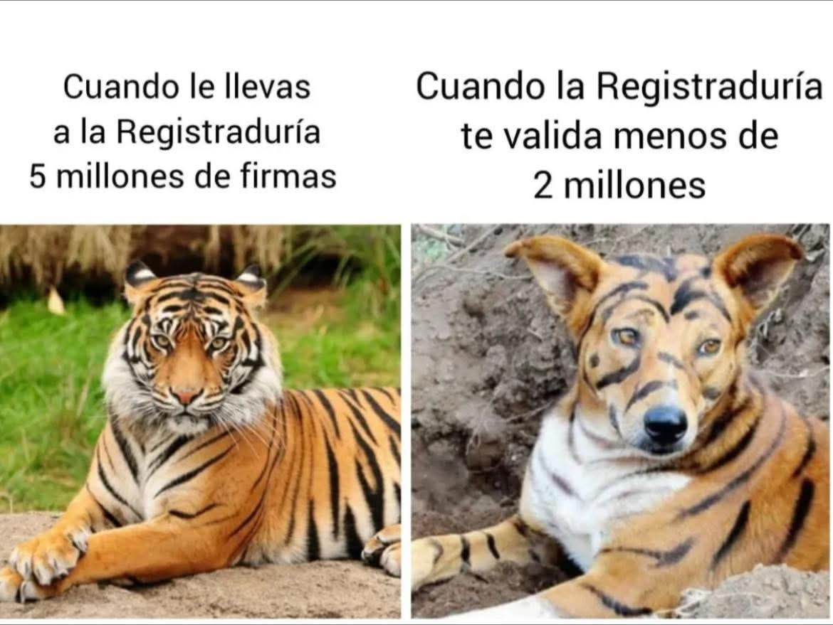 634096818 10174050288400727 8599564429659254883 n