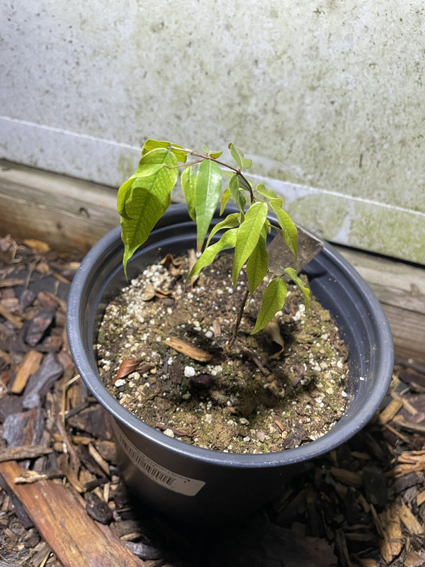 A5910CD3-D3AF-458E-ACD3-33825441FF9F