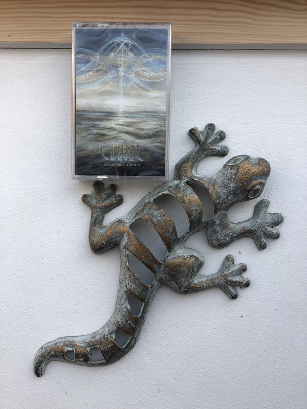 884E602E-F5BD-4213-B94D-ED6FE71DED91