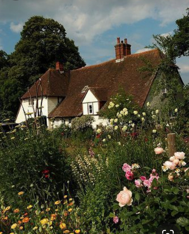 Screenshot_20230913_204940_Pinterest