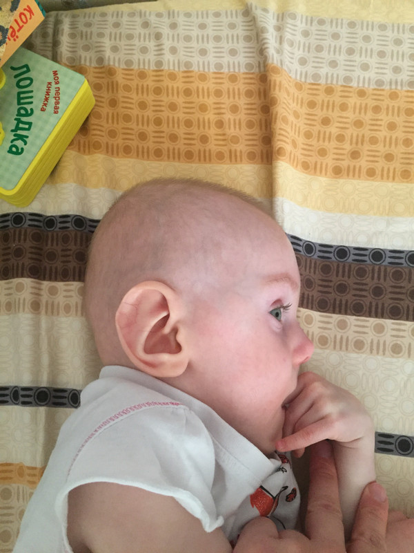 56684CC5-D467-4EAC-B6EF-88674A53140D