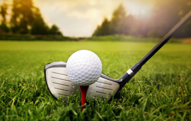 golf-divot-8.jpg