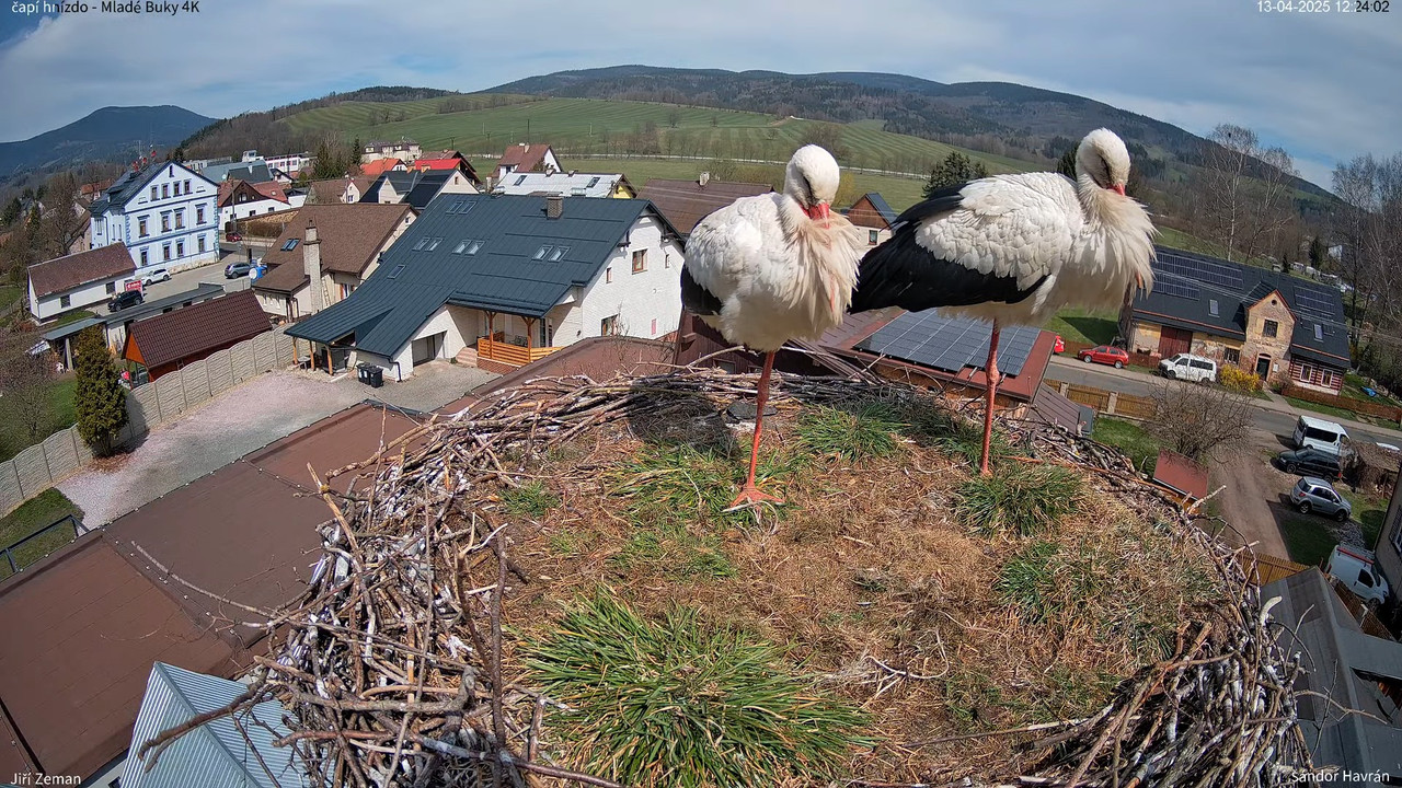 Tiešraides kamera — Mladé Buky — stārķa ligzda 4K 14-3-47 screenshot