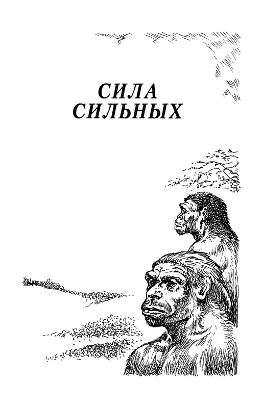 p0005