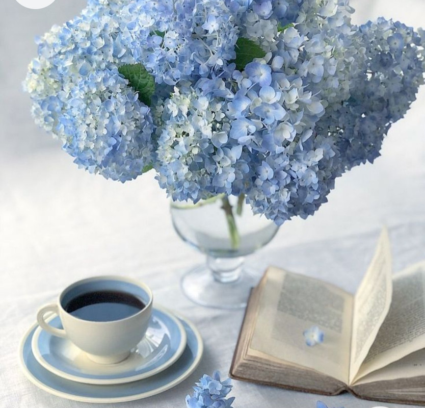 Screenshot_20221227_005912_Chrome