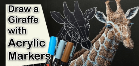 Acrylic Marker Giraffe Drawing – How to draw an animal with Paint Pens