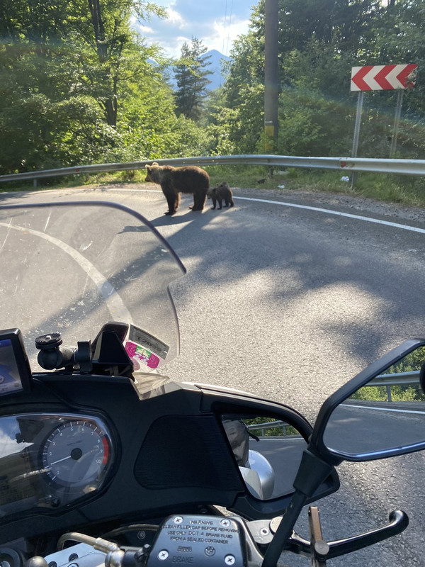 IMG 8565 — Postimages
