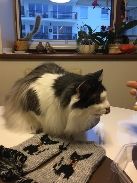 EEDE1398-8682-4939-AE85-2-A1736462071.jp