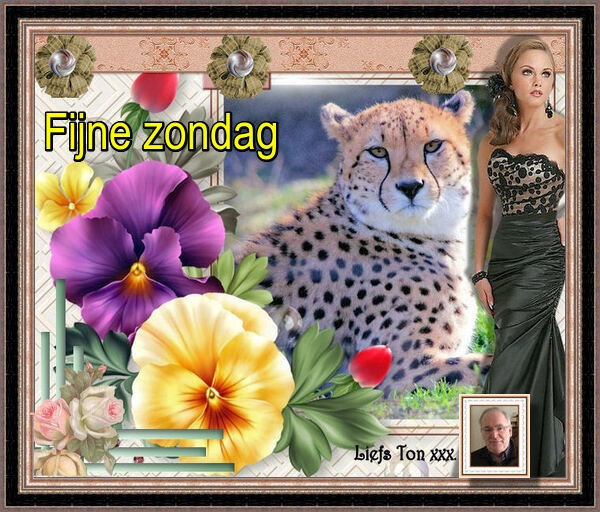 www.krabbelplaatjes.com