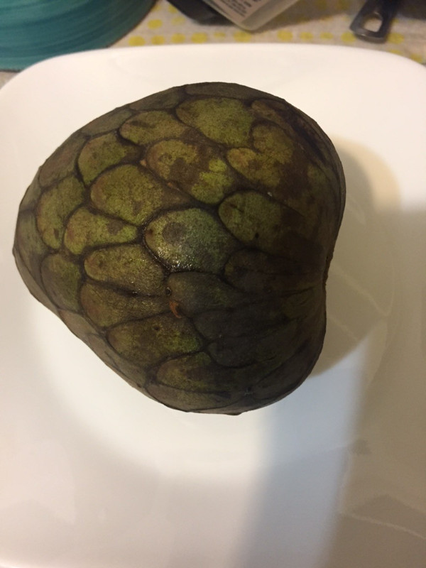 E199FFD0-85AC-4CD5-9204-70BDE05BCCE0