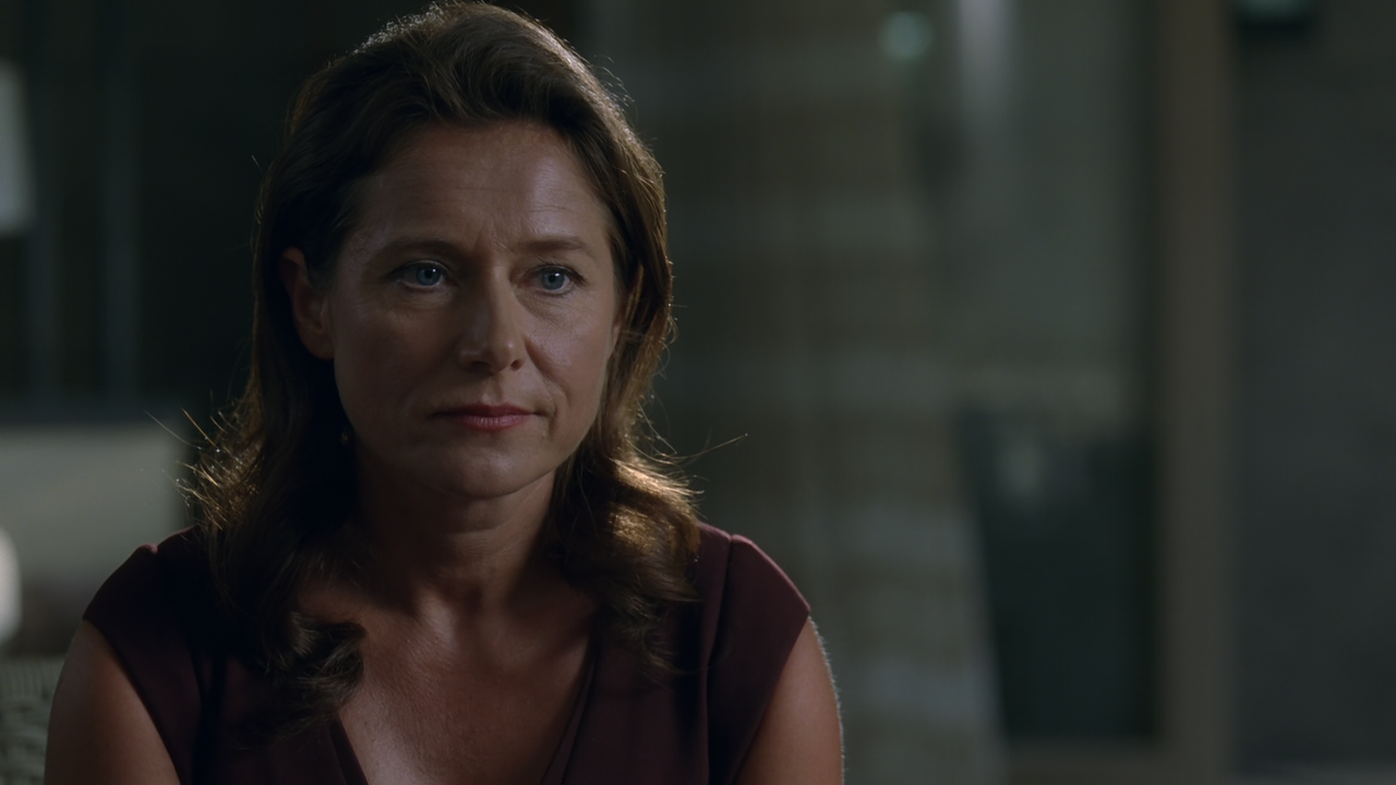 Westworld.S01E07.Trompe.L'Oeil.1080p.10bit.BluRay.AAC5.1.HEVC-Vy