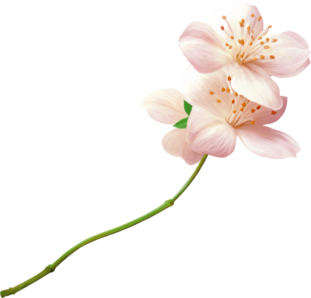 Flower1