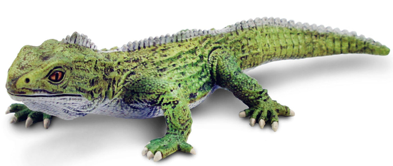 2023 Wildlife Figure of the Year, time for your choices! - Maximum of 5 Safari-Ltd-Tuatara-2023