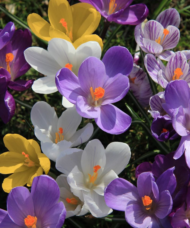 641594326-1363524812486445-1492881018074027101-n