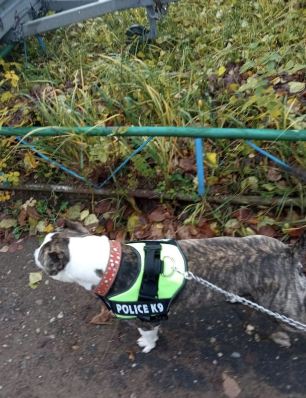 CD68AA72-26B1-4D17-96E7-95A457DACE30