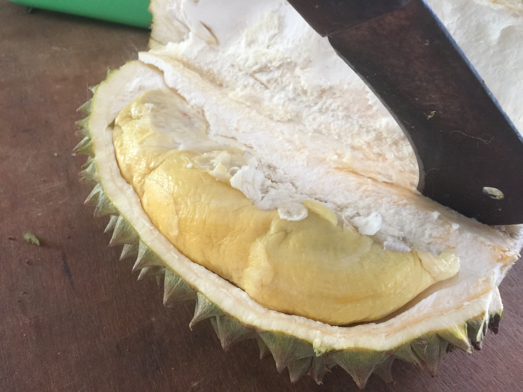 376A1975-C236-4DDD-BB2C-E30C37F5D961