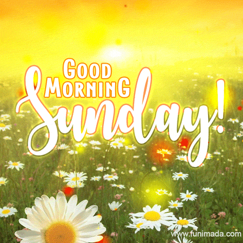 goodmorning-41